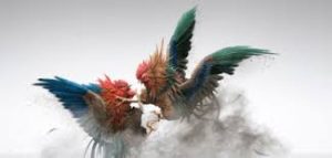 sabung ayam
