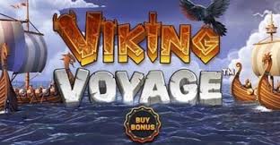 Viking Voyage