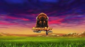 Buffalo Blitz
