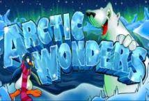 Aurora Wonders